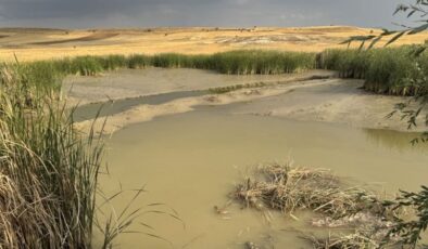 Afyonkarahisar’da serinlemek için gölete giren iki çocuk boğuldu