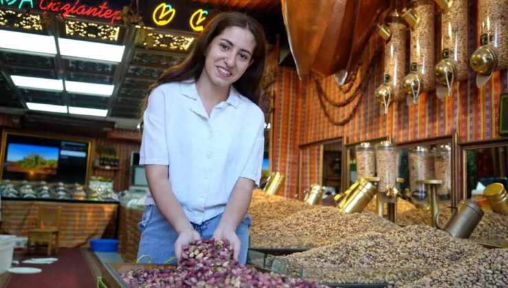 Gaziantep’te Antep Fıstığı Hasadı Başladı, Fiyatlar Rekor Seviyelerde