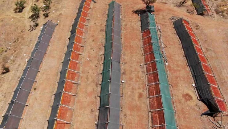 Gaziantep’te Kurutmalık Sebze Sezonu Devam Ediyor