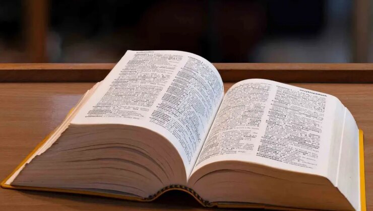 Sözlüğe yeni kelimeler eklendi: Skibidi, delulu, tradwife