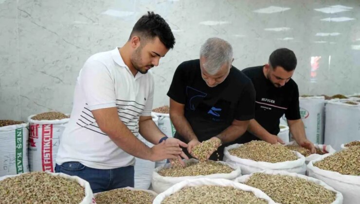 Antep fıstığına ithalat izni çıkıcınca fiyatlar ve satışlar düştü