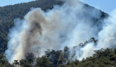 Gaziantep’te Orman Yangını 1,5 Saatte Kontrol Altına Alındı