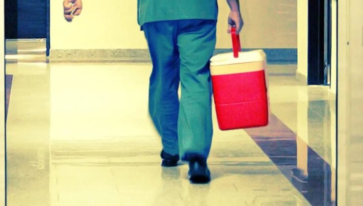 Organ bağışında yeni dönem! Artık e-Devlet ve e-Nabız üzerinden yapılabilecek