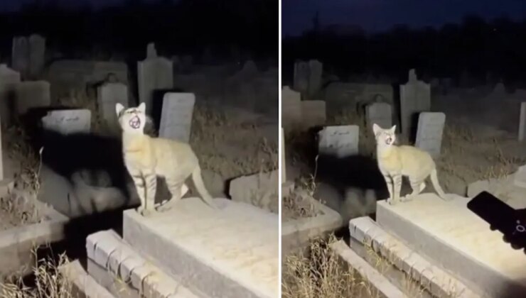 Yapay zekanın geldiği son nokta: Binlerce kişi gerçek sanıp paylaştı