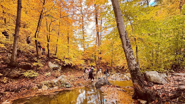 Amanos Dağları’nda sonbahar manzarası