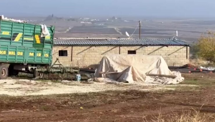 Bin çeyrek altına denk geliyor! Ahır görünümlü harabenin içine giren ekipler gördüklerine inanamadı