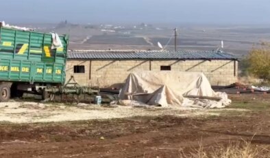 Bin çeyrek altına denk geliyor! Ahır görünümlü yapının içine giren ekipler gördüklerine inanamadı