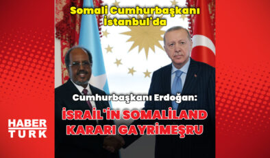 Cumhurbaşkanı Erdoğan, Hasan Şeyh Mahmud ile görüştü
