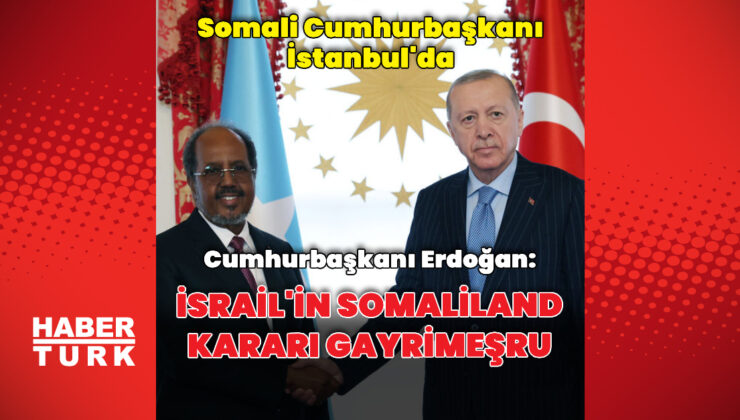 Cumhurbaşkanı Erdoğan, Hasan Şeyh Mahmud ile görüştü