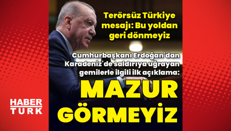 Cumhurbaşkanı Recep Tayyip Erdoğan: Hiçbir şekilde mazur görmeyiz