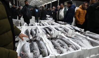 40 yıl sonra Marmara’ya döndü! Fiyatı 3 bin 500 TL