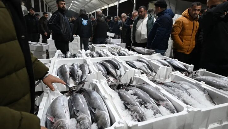 40 yıl sonra Marmara’ya döndü! Fiyatı 3 bin 500 TL