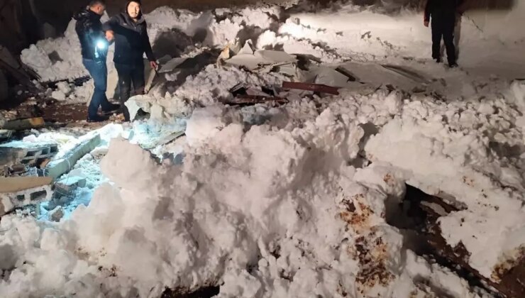 Siirt’te karın ağırlığıyla 3 ahırın çatısı çöktü; çok sayıda hayvan öldü