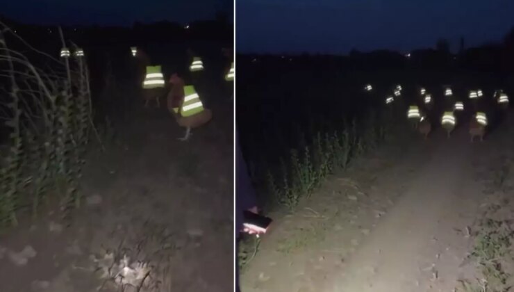 Süreli kayboluyorlardı, çareyi bu taktikte buldu