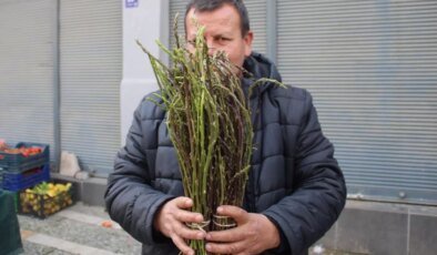 Halk arasında ‘acı ot’ diye biliniyor, faydaları saymakla bitmiyor! Fiyatı sudan ucuz