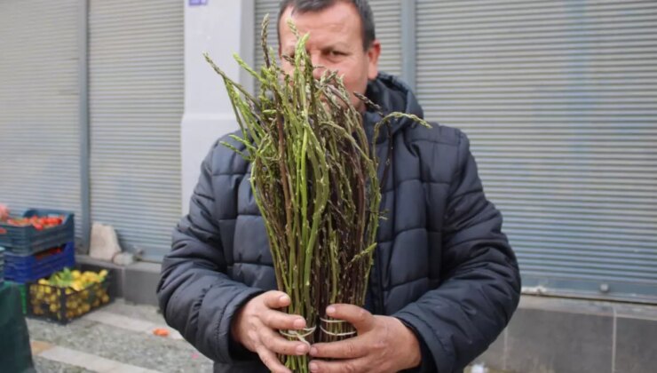 Halk arasında ‘acı ot’ diye biliniyor, faydaları saymakla bitmiyor! Fiyatı sudan ucuz