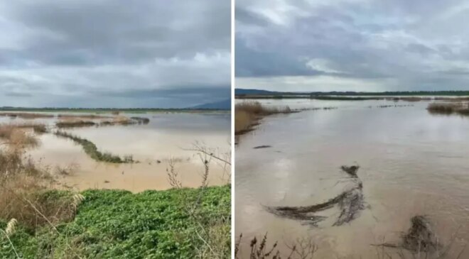 Nehir taştı, tarımın kritik ovasını su bastı