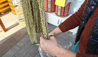 Ramazan’ın gözdesi bamya tezgahlarda