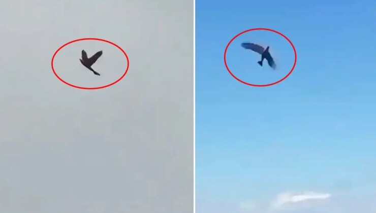 ABD’nin kabusu olacak! Hepsiyle savaşmak zorunda kalabilirler