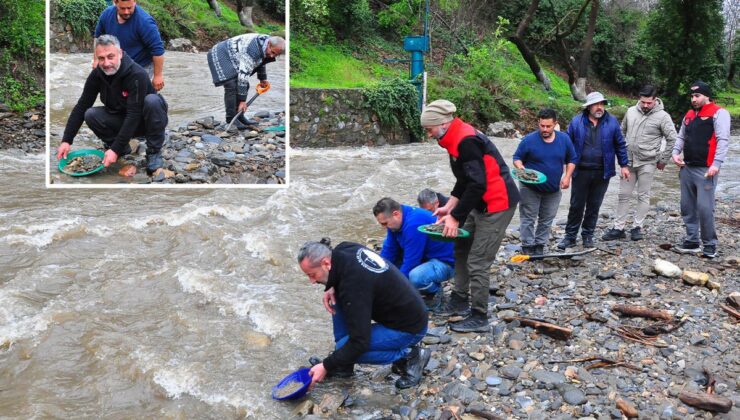 Tasını küreğini kapan buraya koştu! Dereden avuç avuç altın topladılar