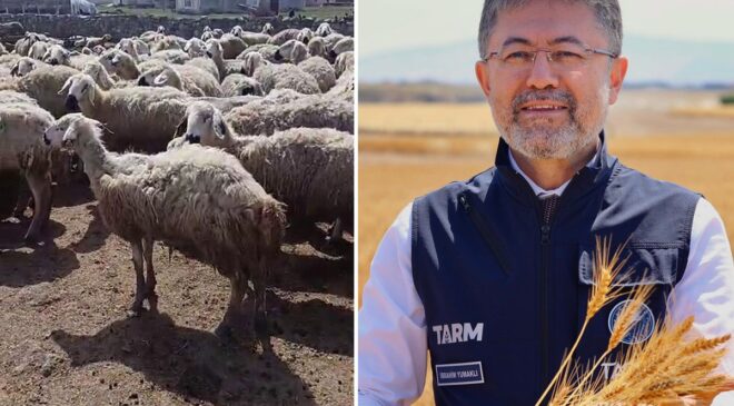 Bakan Yumaklı’nın "Örnek üretici" dediği çiftçi video çekip yardım istedi