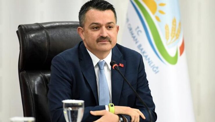 Eski bakan Bekir Pakdemirli’nin yeni işi