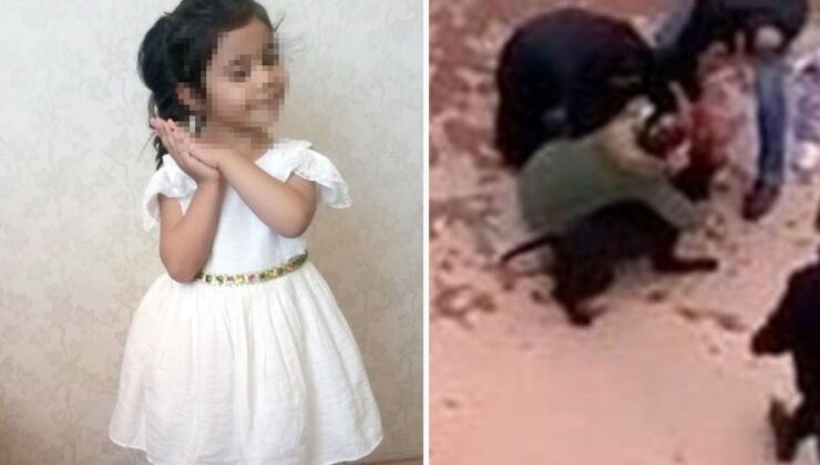 Gaziantep’te küçük Asiye’ye pitbull saldırısı davasında 6 sanığa hapis cezası verildi