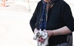 Acemi Kasapların Kurban Bayramı Hazin Sonu