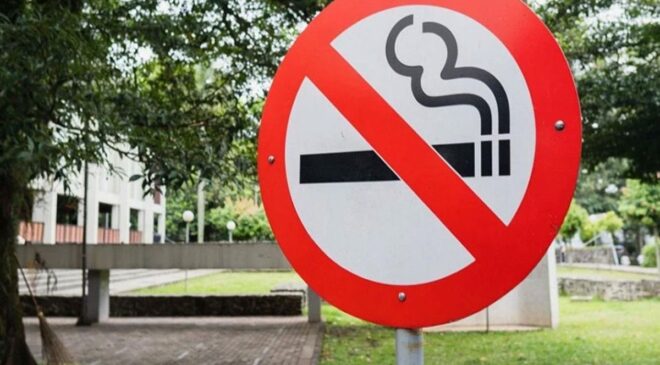 Almanya tek kullanımlık elektronik sigaraları yasaklıyor
