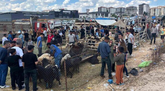 Arefe günü Gaziantep’teki kurban pazarlarında yoğunluk had safhaya çıktı