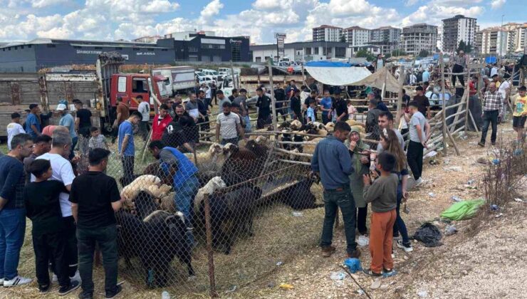 Arefe günü Gaziantep’teki kurban pazarlarında yoğunluk had safhaya çıktı