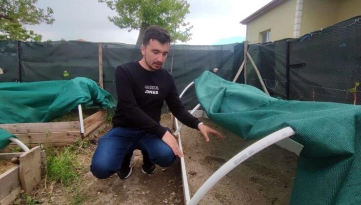 Henüz 26 yaşında! "Yapamazsın" diyenlere inat köyünü üretim üssüne çeviriyor