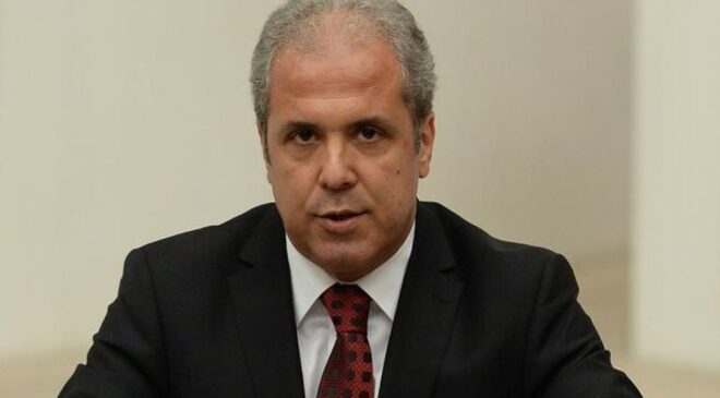 Şamil Tayyar: Ufukta sandık var