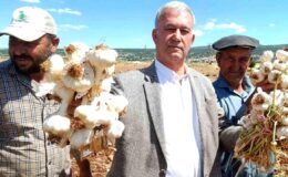 AB tescilli Araban sarımsağının hasadı başladı