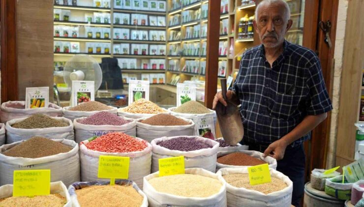 Dede mesleğini 3 bin dönüm arazide yaşatıyor