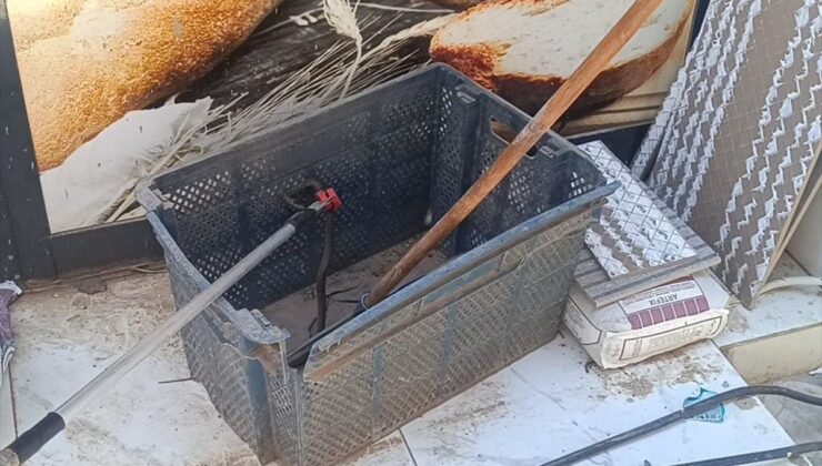 Gaziantep’te ekmek sandığına giren yılan yakalandı