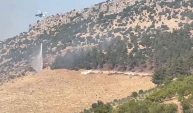 Gaziantep’te orman yangını
