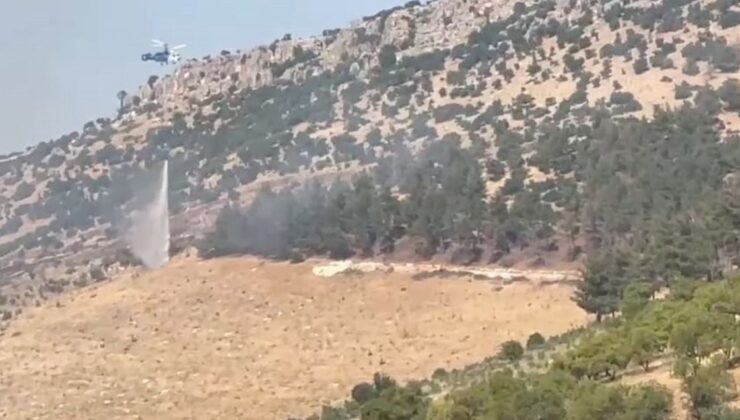 Gaziantep’te orman yangını