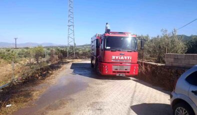 Gaziantep’te zeytinlik alanda yangın