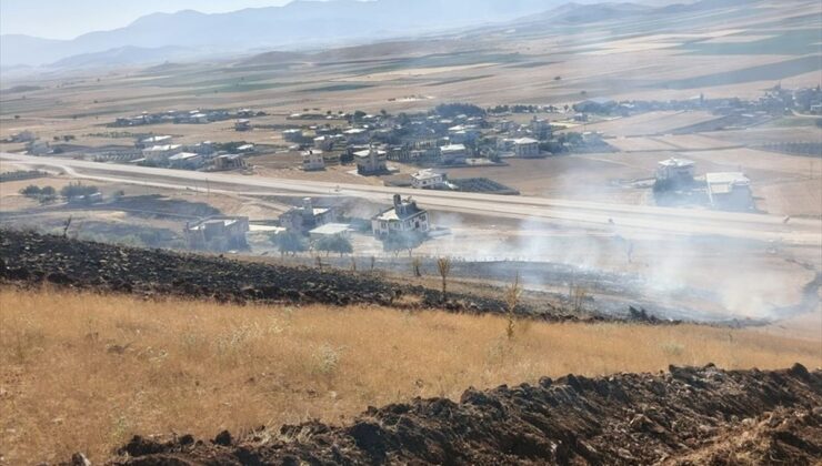Gaziantep’te zeytinlikte başlayıp ormana sıçrayan yangın söndürüldü
