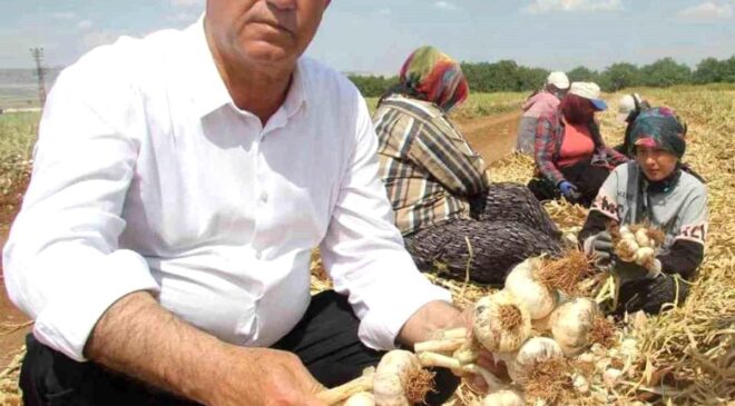 Hasan Altun’dan ‘Toprak Bayramı Haftası’ kutlama mesajı