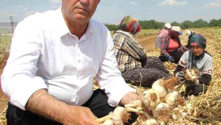Hasan Altun’dan ‘Toprak Bayramı Haftası’ kutlama mesajı
