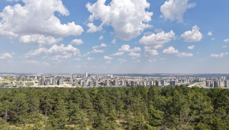 Manisa ve Gaziantep’e iki yeni tabiat parkı