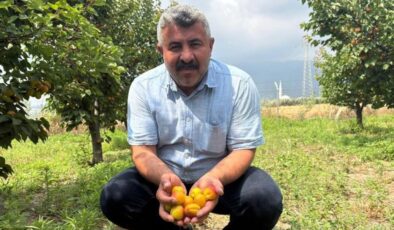 Mühendis tavsiyesiyle başladı, şimdi paraya para demiyor: Yurt dışından büyük talep var