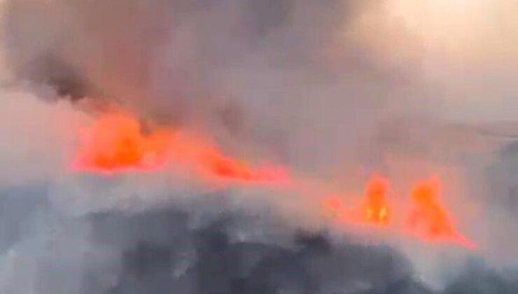 Oğuzeli’nde buğday tarlasında yangın