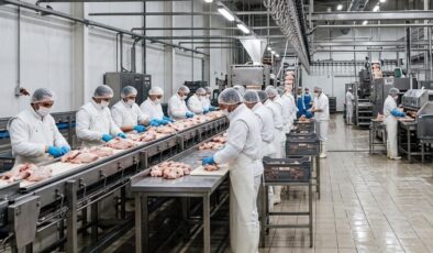 Tavuk firmalarına denetim kayyumu atanmasıyla ilgili başsavcılıktan açıklama