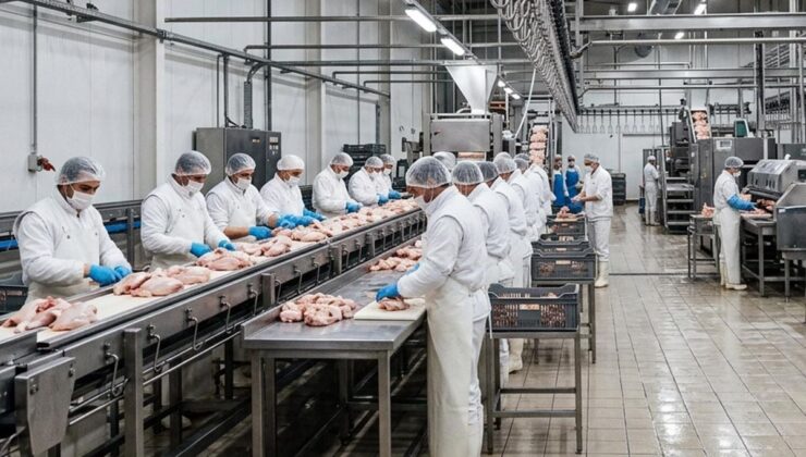 Tavuk firmalarına denetim kayyumu atanmasıyla ilgili başsavcılıktan açıklama