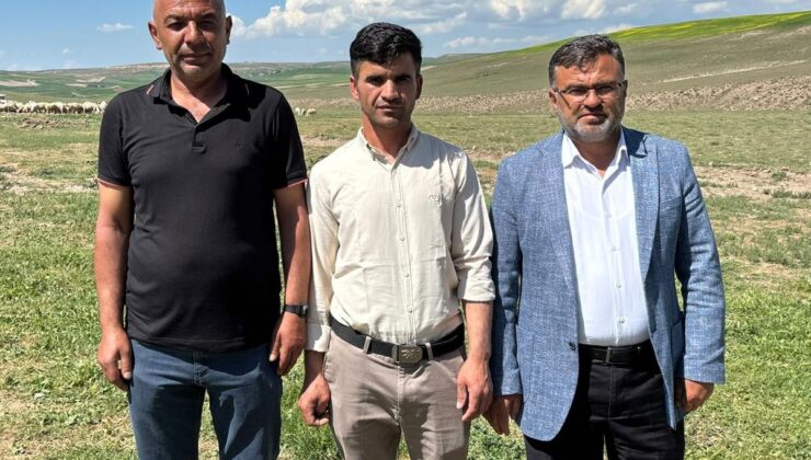 Yerliden umudu kesen besiciler çoban krizine "İthal" çözüm buldu